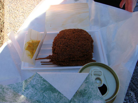 DSC01795.JPG
