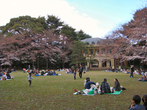 DSC02361.JPG