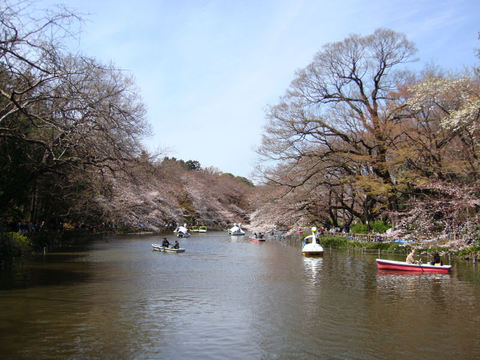 DSC02388.JPG