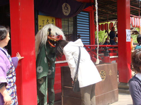 DSC02555.JPG