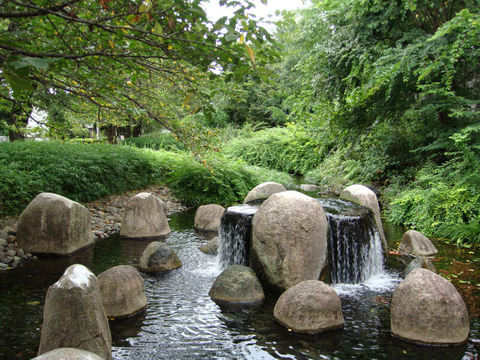 DSC03708.JPG