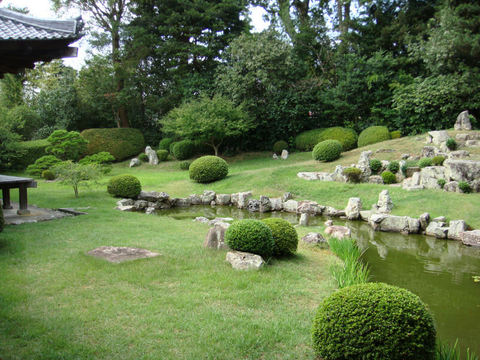 DSC03807.JPG