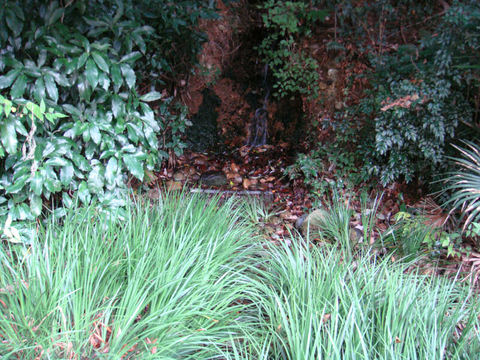DSC04094.JPG