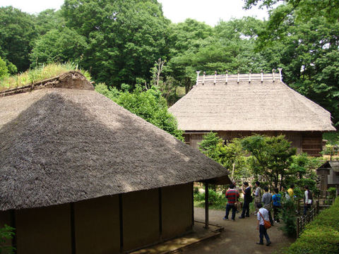 DSC05558.JPG