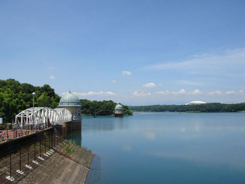 DSC05897.JPG