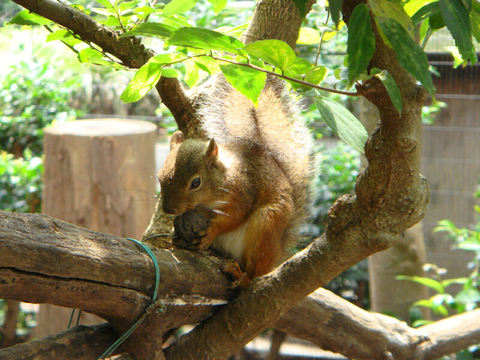 DSC06265.JPG