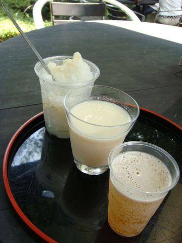 DSC06314.JPG