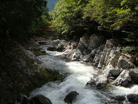 DSC06715.JPG
