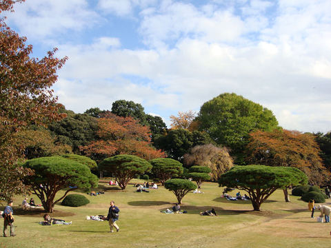 DSC06794.JPG