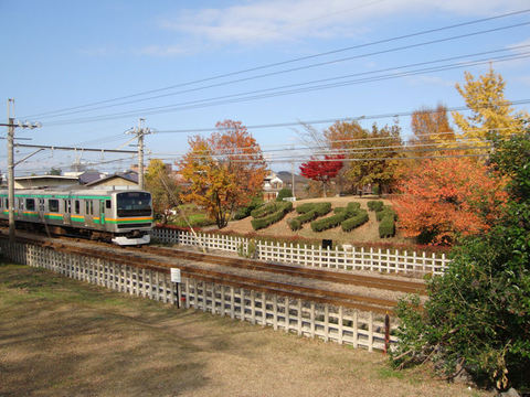 DSC06894.JPG