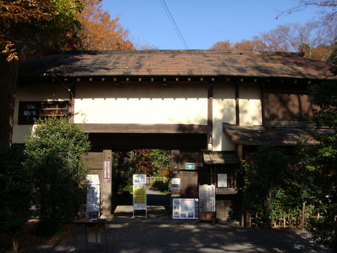 DSC06935.JPG