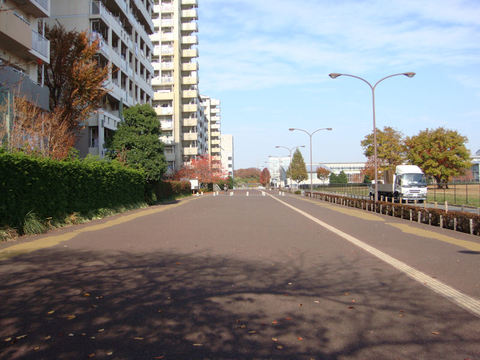 DSC06947.JPG