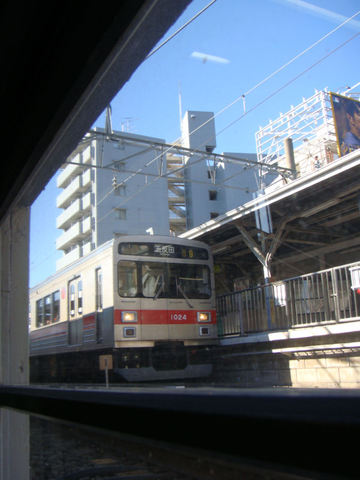 DSC07516.JPG