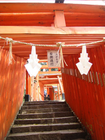 DSC08347.JPG
