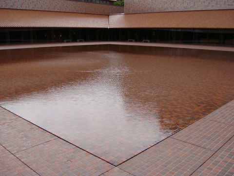 DSC08383.JPG