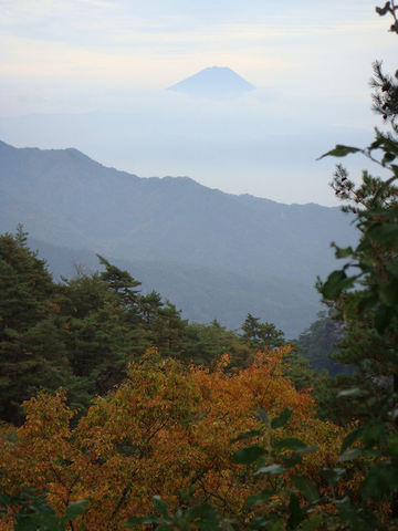 DSC08978.JPG