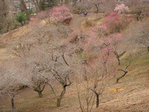 DSC09313.JPG