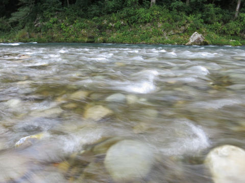 IMG_1200.jpg