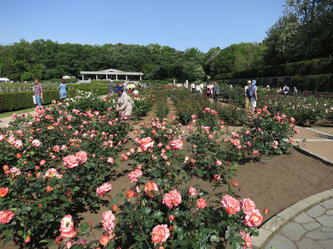IMG_4141.JPG