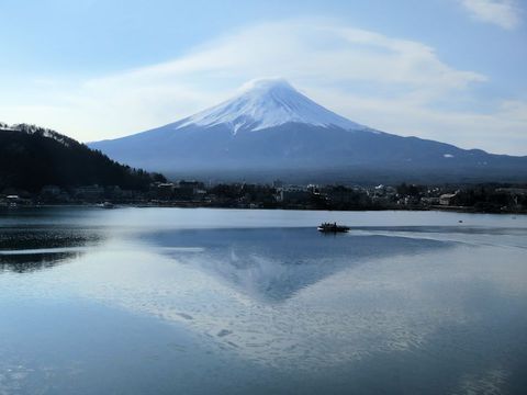 IMG_5250.JPG