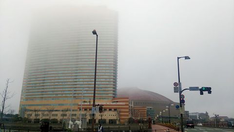 DSC_2774.JPG