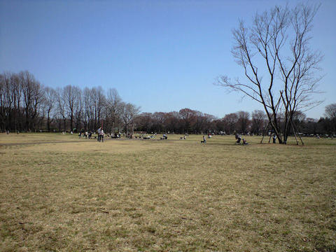 CA3A0063.JPG