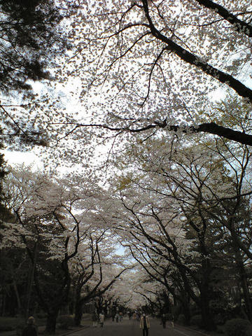 CA3A0090.JPG