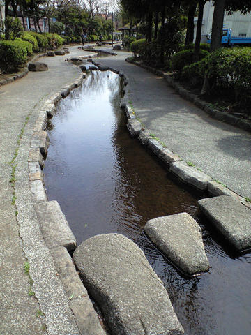 CA3A0129.JPG