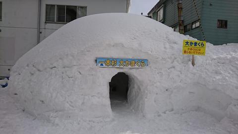 DSC_2102.JPG