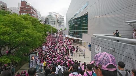 DSC_2347.JPG