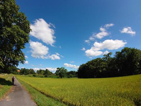 DSC_0172.JPG