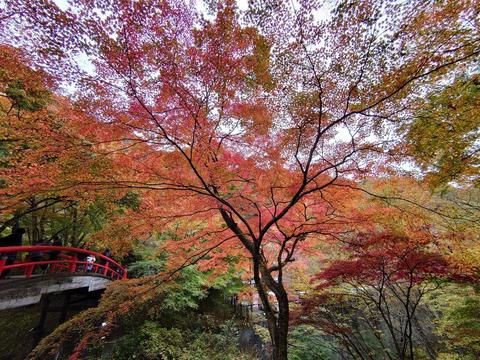 DSC_1298.JPG