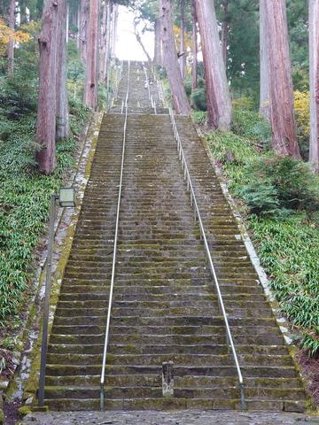 DSC_2230.JPG