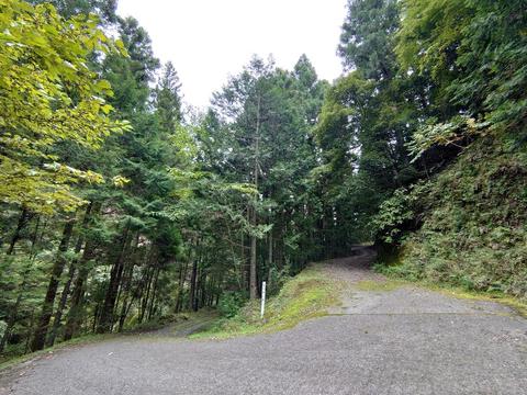 DSC_3719.JPG