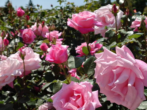 20230505_104552.jpg