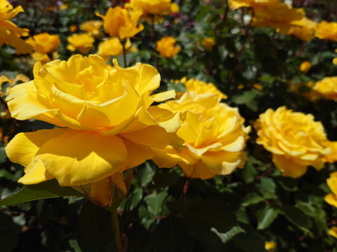 20230505_110053.jpg