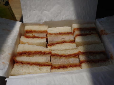 20240810_115131.jpg