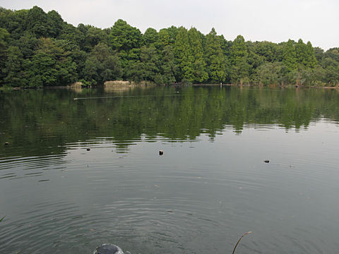 IMG_0194.JPG
