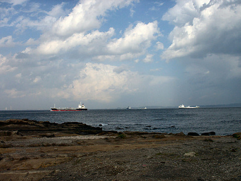 PICT0445.JPG