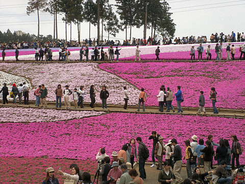 PICT0541.JPG