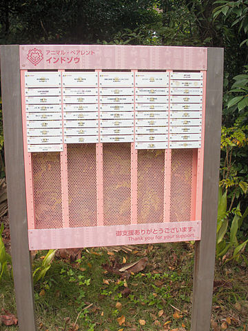 PICT1526.JPG