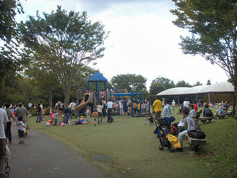 PICT1561.JPG