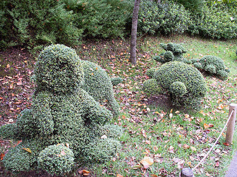 PICT1562.JPG