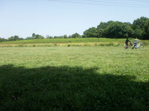 PICT1960.JPG