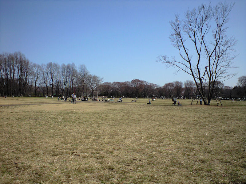http://birdy.mydns.jp/~annex/images/2008/CA3A0063.JPG