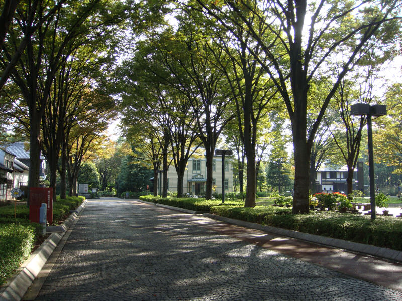http://birdy.mydns.jp/~annex/images/2008/DSC00443.JPG