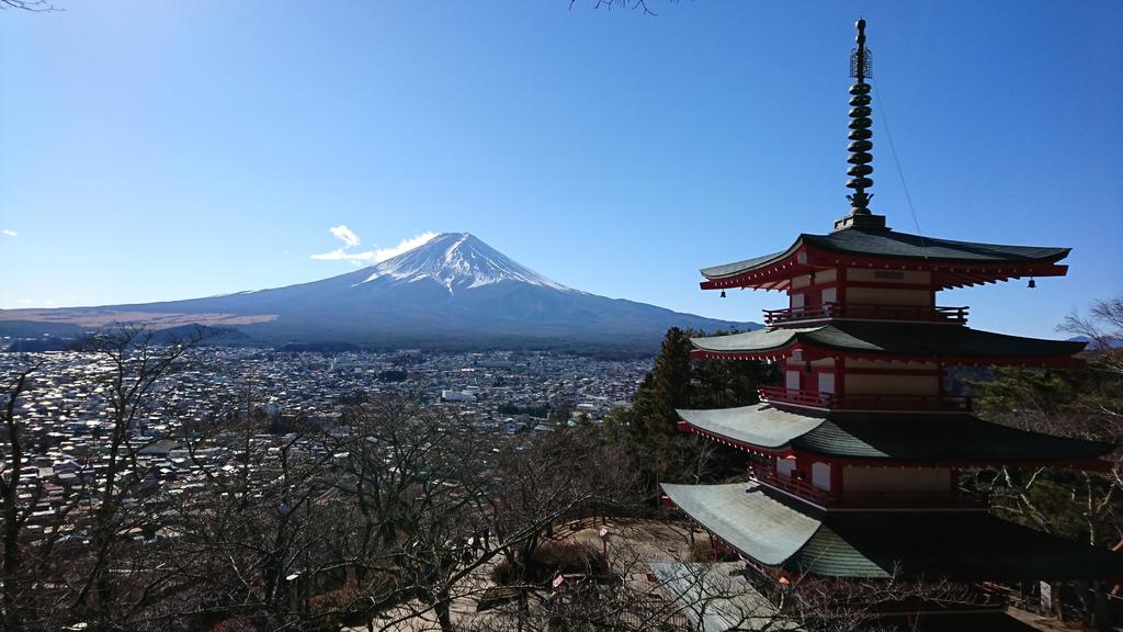 http://birdy.mydns.jp/~annex/images/2018/DSC_1189.JPG