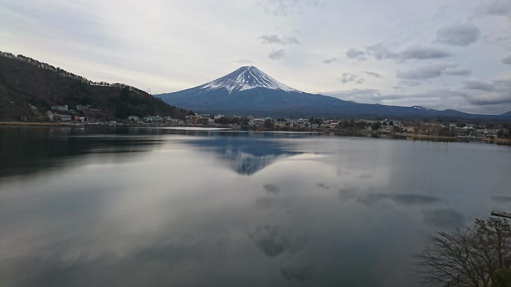 http://birdy.mydns.jp/~annex/images/2018/DSC_1213.JPG