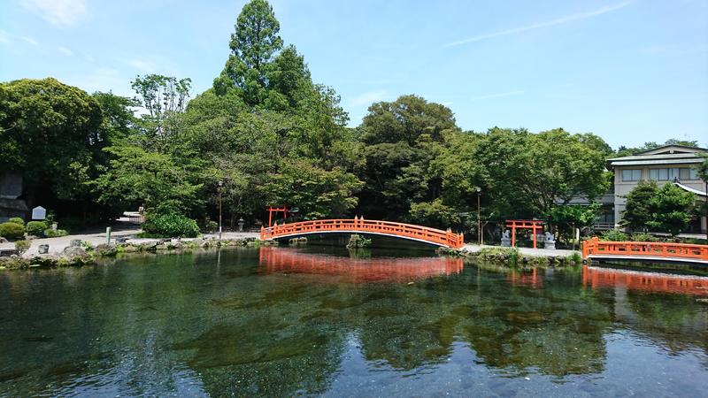 http://birdy.mydns.jp/~annex/images/2018/DSC_1511.JPG