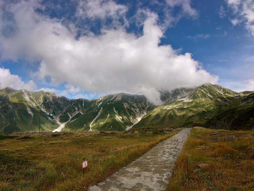 http://birdy.mydns.jp/~annex/images/2019/DSC_0311.JPG